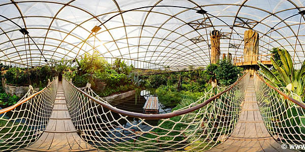 Virtueller Rundgang Gondwanaland Zoo Leipzig